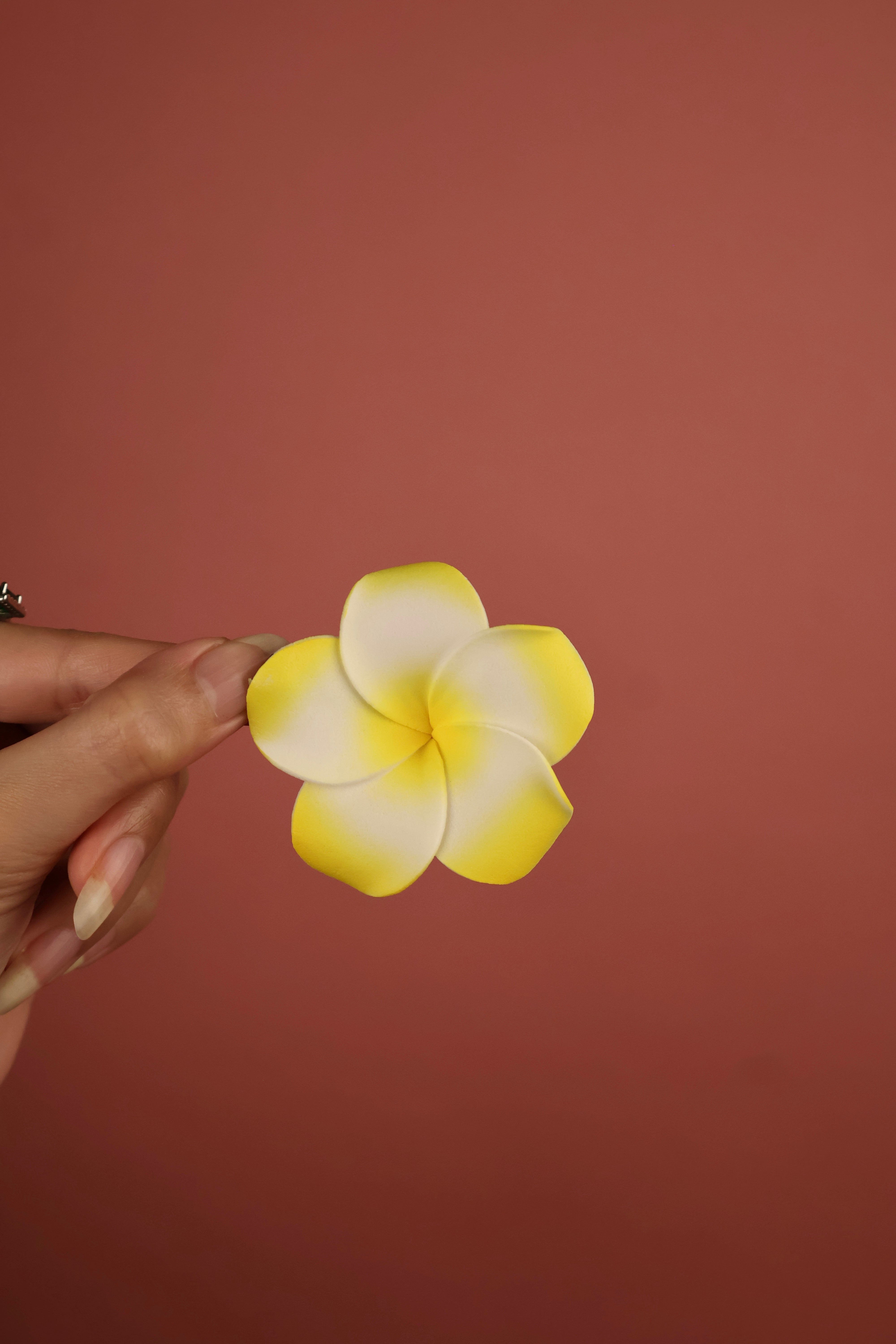 Artifical Plumeria Flower Clips